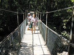 238 Mossman Gorge